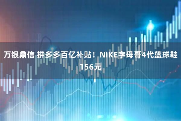 万银鼎信 拼多多百亿补贴！NIKE字母哥4代篮球鞋156元