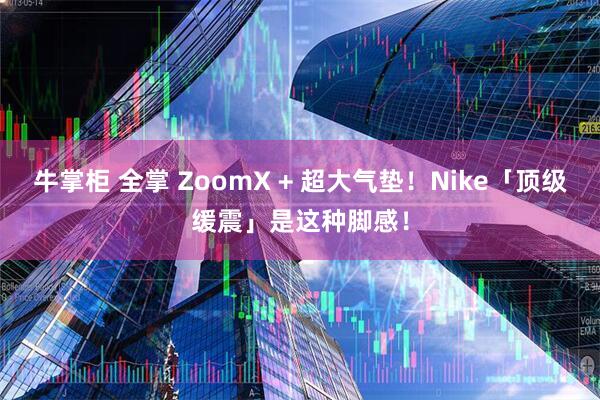 牛掌柜 全掌 ZoomX + 超大气垫！Nike「顶级缓震」是这种脚感！