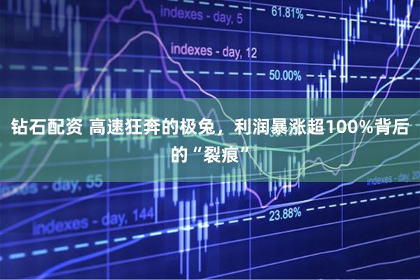 钻石配资 高速狂奔的极兔，利润暴涨超100%背后的“裂痕”