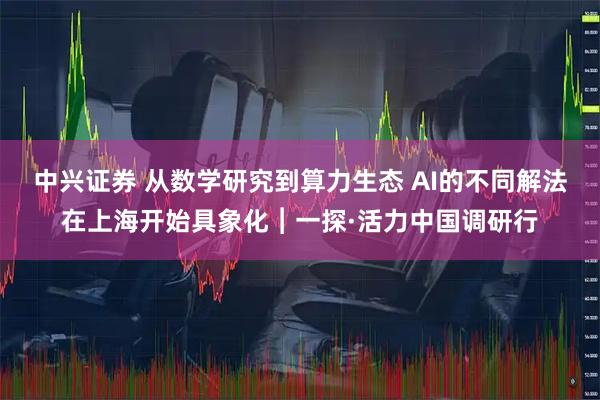 中兴证券 从数学研究到算力生态 AI的不同解法在上海开始具象化︱一探·活力中国调研行