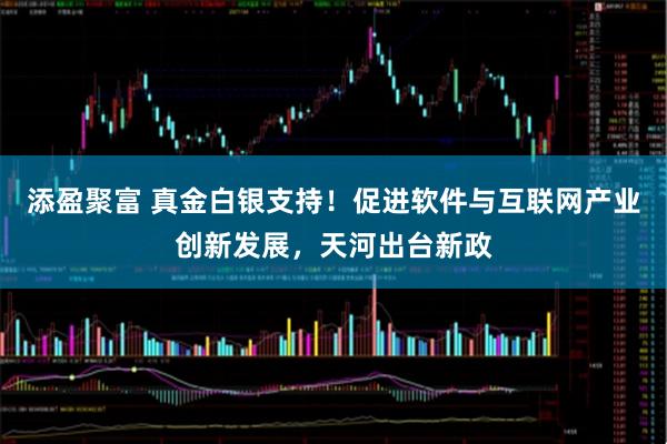 添盈聚富 真金白银支持！促进软件与互联网产业创新发展，天河出台新政